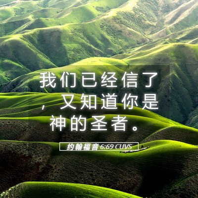 Picture 05 - 约 翰 福 音 6:69 CUVS - 我 们 已 经 信 了 ， 又 知 道 你 是 - Bible Verse Picture