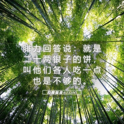 Picture 05 - 约 翰 福 音 6:7 CUVS - 腓 力 回 答 说 ： 就 是 二 十 两 银 - Bible Verse Picture