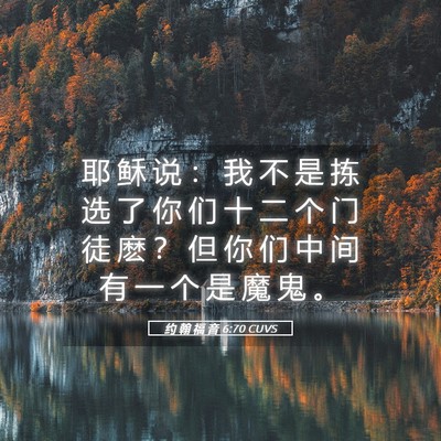 Picture 05 - 约 翰 福 音 6:70 CUVS - 耶 稣 说 ： 我 不 是 拣 选 了 你 们 - Bible Verse Picture