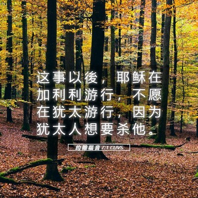 Picture 05 - 约 翰 福 音 7:1 CUVS - 这 事 以 後 ， 耶 稣 在 加 利 利 游 - Bible Verse Picture