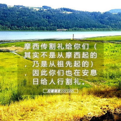 Picture 05 - 约 翰 福 音 7:22 CUVS - 摩 西 传 割 礼 给 你 们 （ 其 实 不 - Bible Verse Picture