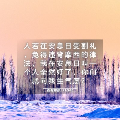 Picture 05 - 约 翰 福 音 7:23 CUVS - 人 若 在 安 息 日 受 割 礼 ， 免 得 - Bible Verse Picture