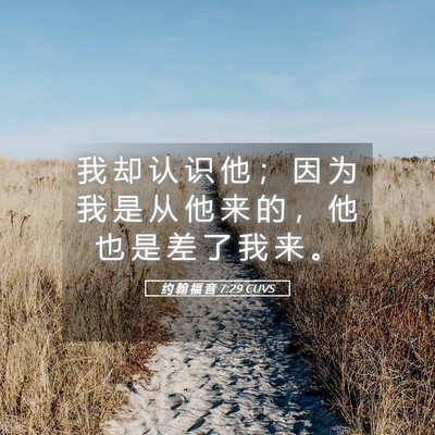 Picture 05 - 约 翰 福 音 7:29 CUVS - 我 却 认 识 他 ； 因 为 我 是 从 他 - Bible Verse Picture