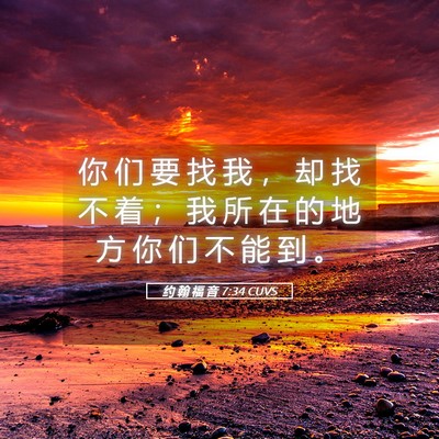 Picture 05 - 约 翰 福 音 7:34 CUVS - 你 们 要 找 我 ， 却 找 不 着 ； 我 - Bible Verse Picture