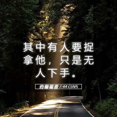 Picture 05 - 约 翰 福 音 7:44 CUVS - 其 中 有 人 要 捉 拿 他 ， 只 是 无 - Bible Verse Picture
