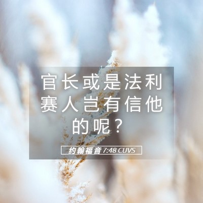 Picture 05 - 约 翰 福 音 7:48 CUVS - 官 长 或 是 法 利 赛 人 岂 有 信 他 - Bible Verse Picture