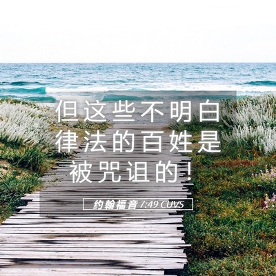Picture 05 - 约 翰 福 音 7:49 CUVS - 但 这 些 不 明 白 律 法 的 百 姓 是 - Bible Verse Picture