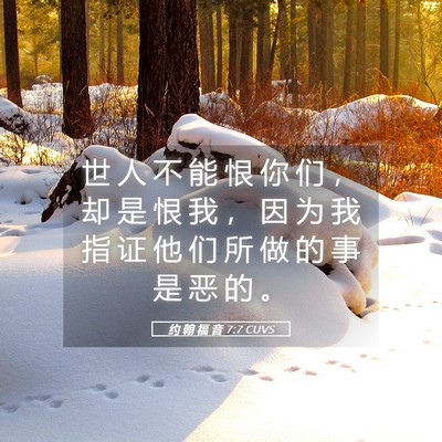 Picture 05 - 约 翰 福 音 7:7 CUVS - 世 人 不 能 恨 你 们 ， 却 是 恨 我 - Bible Verse Picture