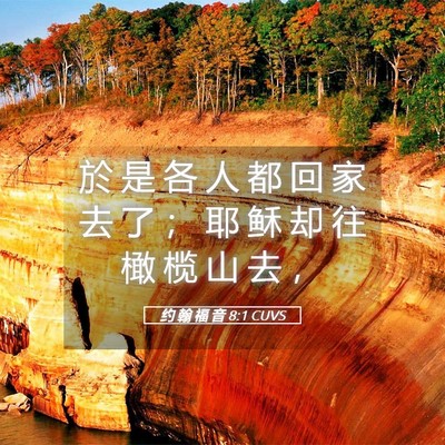 Picture 05 - 约 翰 福 音 8:1 CUVS - 於 是 各 人 都 回 家 去 了 ； 耶 稣 - Bible Verse Picture