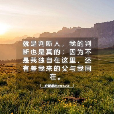 Picture 05 - 约 翰 福 音 8:16 CUVS - 就 是 判 断 人 ， 我 的 判 断 也 是 - Bible Verse Picture