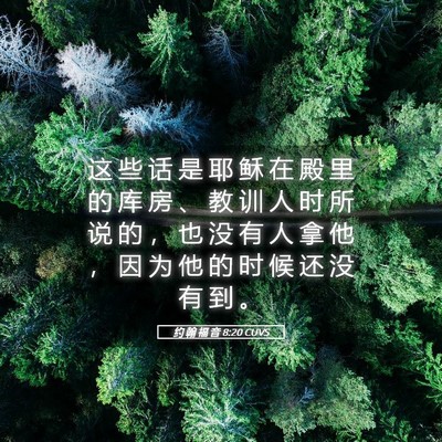 Picture 05 - 约 翰 福 音 8:20 CUVS - 这 些 话 是 耶 稣 在 殿 里 的 库 房 - Bible Verse Picture