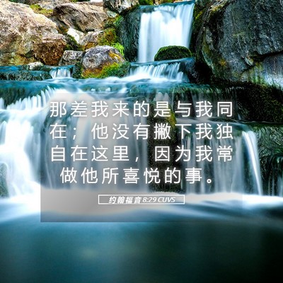 Picture 05 - 约 翰 福 音 8:29 CUVS - 那 差 我 来 的 是 与 我 同 在 ； 他 - Bible Verse Picture