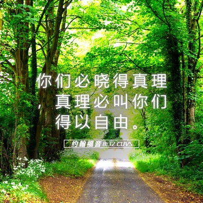 Picture 05 - 约 翰 福 音 8:32 CUVS - 你 们 必 晓 得 真 理 ， 真 理 必 叫 - Bible Verse Picture