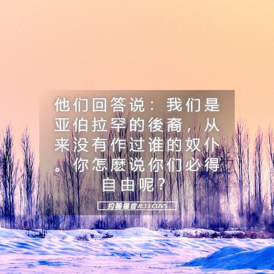 Picture 05 - 约 翰 福 音 8:33 CUVS - 他 们 回 答 说 ： 我 们 是 亚 伯 拉 - Bible Verse Picture