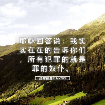 Picture 05 - 约 翰 福 音 8:34 CUVS - 耶 稣 回 答 说 ： 我 实 实 在 在 的 - Bible Verse Picture