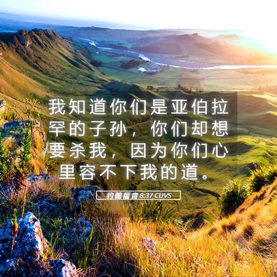 Picture 05 - 约 翰 福 音 8:37 CUVS - 我 知 道 你 们 是 亚 伯 拉 罕 的 子 - Bible Verse Picture