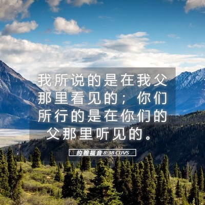 Picture 05 - 约 翰 福 音 8:38 CUVS - 我 所 说 的 是 在 我 父 那 里 看 见 - Bible Verse Picture