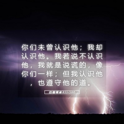 Picture 05 - 约 翰 福 音 8:55 CUVS - 你 们 未 曾 认 识 他 ； 我 却 认 识 - Bible Verse Picture