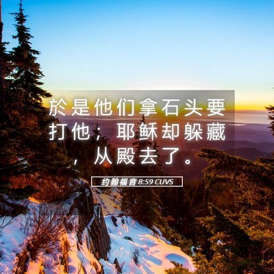 Picture 05 - 约 翰 福 音 8:59 CUVS - 於 是 他 们 拿 石 头 要 打 他 ； 耶 - Bible Verse Picture