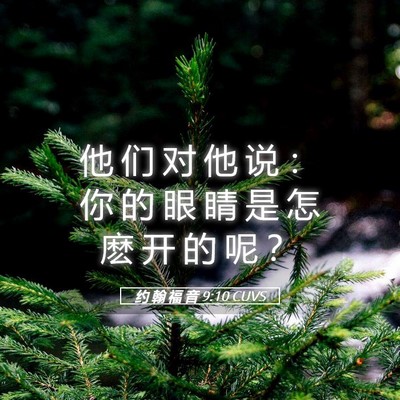 Picture 05 - 约 翰 福 音 9:10 CUVS - 他 们 对 他 说 ： 你 的 眼 睛 是 怎 - Bible Verse Picture