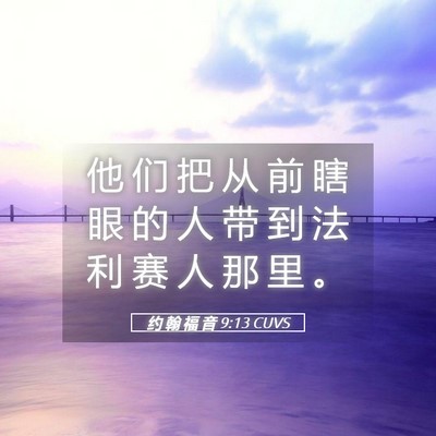 Picture 05 - 约 翰 福 音 9:13 CUVS - 他 们 把 从 前 瞎 眼 的 人 带 到 法 - Bible Verse Picture