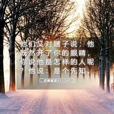 Picture 05 - 约 翰 福 音 9:17 CUVS - 他 们 又 对 瞎 子 说 ： 他 既 然 开 - Bible Verse Picture