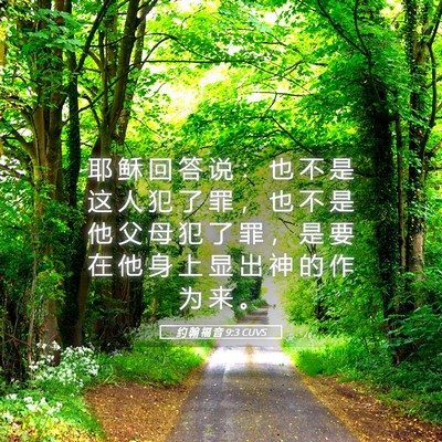 Picture 05 - 约 翰 福 音 9:3 CUVS - 耶 稣 回 答 说 ： 也 不 是 这 人 犯 - Bible Verse Picture