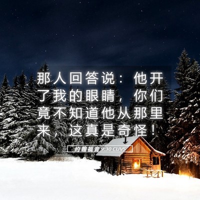 Picture 05 - 约 翰 福 音 9:30 CUVS - 那 人 回 答 说 ： 他 开 了 我 的 眼 - Bible Verse Picture