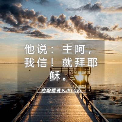 Picture 05 - 约 翰 福 音 9:38 CUVS - 他 说 ： 主 阿 ， 我 信 ！ 就 拜 耶 - Bible Verse Picture