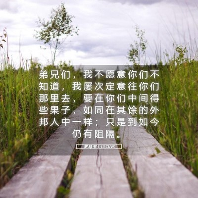 Picture 05 - 罗 马 书 1:13 CUVS - 弟 兄 们 ， 我 不 愿 意 你 们 不 知 - Bible Verse Picture