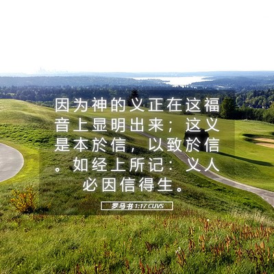 Picture 05 - 罗 马 书 1:17 CUVS - 因 为 神 的 义 正 在 这 福 音 上 显 - Bible Verse Picture