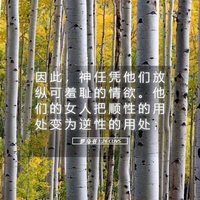 Picture 05 - 罗 马 书 1:26 CUVS - 因 此 ， 神 任 凭 他 们 放 纵 可 羞 - Bible Verse Picture
