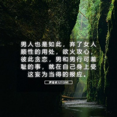Picture 05 - 罗 马 书 1:27 CUVS - 男 人 也 是 如 此 ， 弃 了 女 人 顺 - Bible Verse Picture