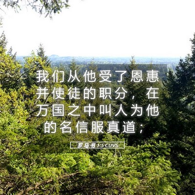 Picture 05 - 罗 马 书 1:5 CUVS - 我 们 从 他 受 了 恩 惠 并 使 徒 的 - Bible Verse Picture