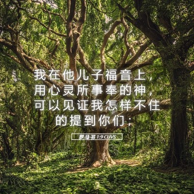 Picture 05 - 罗 马 书 1:9 CUVS - 我 在 他 儿 子 福 音 上 ， 用 心 灵 - Bible Verse Picture