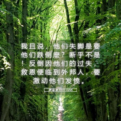 Picture 05 - 罗 马 书 11:11 CUVS - 我 且 说 ， 他 们 失 脚 是 要 他 们 - Bible Verse Picture