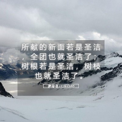 Picture 05 - 罗 马 书 11:16 CUVS - 所 献 的 新 面 若 是 圣 洁 ， 全 团 - Bible Verse Picture