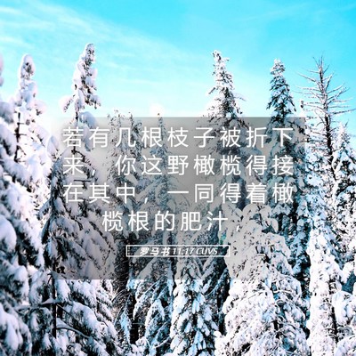 Picture 05 - 罗 马 书 11:17 CUVS - 若 有 几 根 枝 子 被 折 下 来 ， 你 - Bible Verse Picture