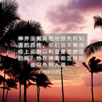 Picture 05 - 罗 马 书 11:2 CUVS - 神 并 没 有 弃 绝 他 预 先 所 知 道 - Bible Verse Picture