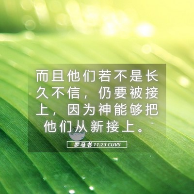 Picture 05 - 罗 马 书 11:23 CUVS - 而 且 他 们 若 不 是 长 久 不 信 ， - Bible Verse Picture