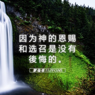 Picture 05 - 罗 马 书 11:29 CUVS - 因 为 神 的 恩 赐 和 选 召 是 没 有 - Bible Verse Picture