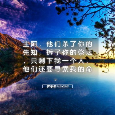 Picture 05 - 罗 马 书 11:3 CUVS - 主 阿 ， 他 们 杀 了 你 的 先 知 ， - Bible Verse Picture
