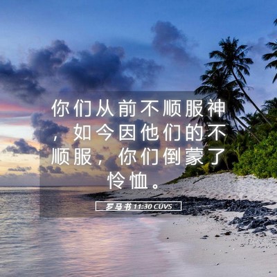 Picture 05 - 罗 马 书 11:30 CUVS - 你 们 从 前 不 顺 服 神 ， 如 今 因 - Bible Verse Picture