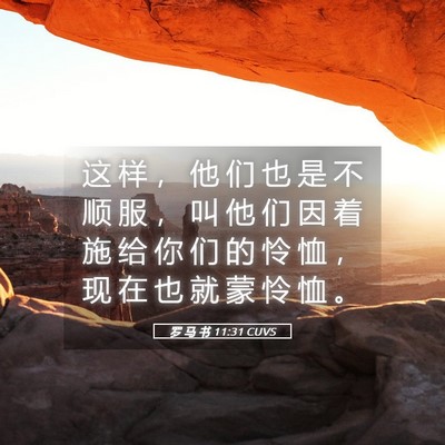 Picture 05 - 罗 马 书 11:31 CUVS - 这 样 ， 他 们 也 是 不 顺 服 ， 叫 - Bible Verse Picture