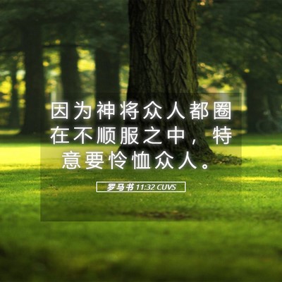 Picture 05 - 罗 马 书 11:32 CUVS - 因 为 神 将 众 人 都 圈 在 不 顺 服 - Bible Verse Picture