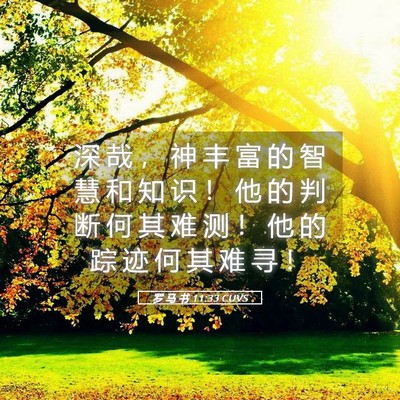 Picture 05 - 罗 马 书 11:33 CUVS - 深 哉 ， 神 丰 富 的 智 慧 和 知 识 - Bible Verse Picture