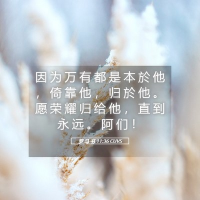 Picture 05 - 罗 马 书 11:36 CUVS - 因 为 万 有 都 是 本 於 他 ， 倚 靠 - Bible Verse Picture