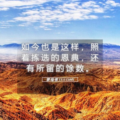 Picture 05 - 罗 马 书 11:5 CUVS - 如 今 也 是 这 样 ， 照 着 拣 选 的 - Bible Verse Picture