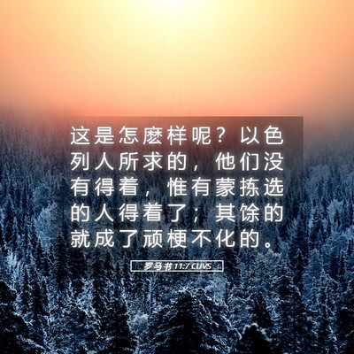 Picture 05 - 罗 马 书 11:7 CUVS - 这 是 怎 麽 样 呢 ？ 以 色 列 人 所 - Bible Verse Picture
