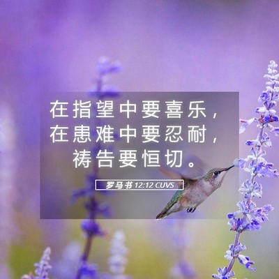 Picture 05 - 罗 马 书 12:12 CUVS - 在 指 望 中 要 喜 乐 ， 在 患 难 中 - Bible Verse Picture